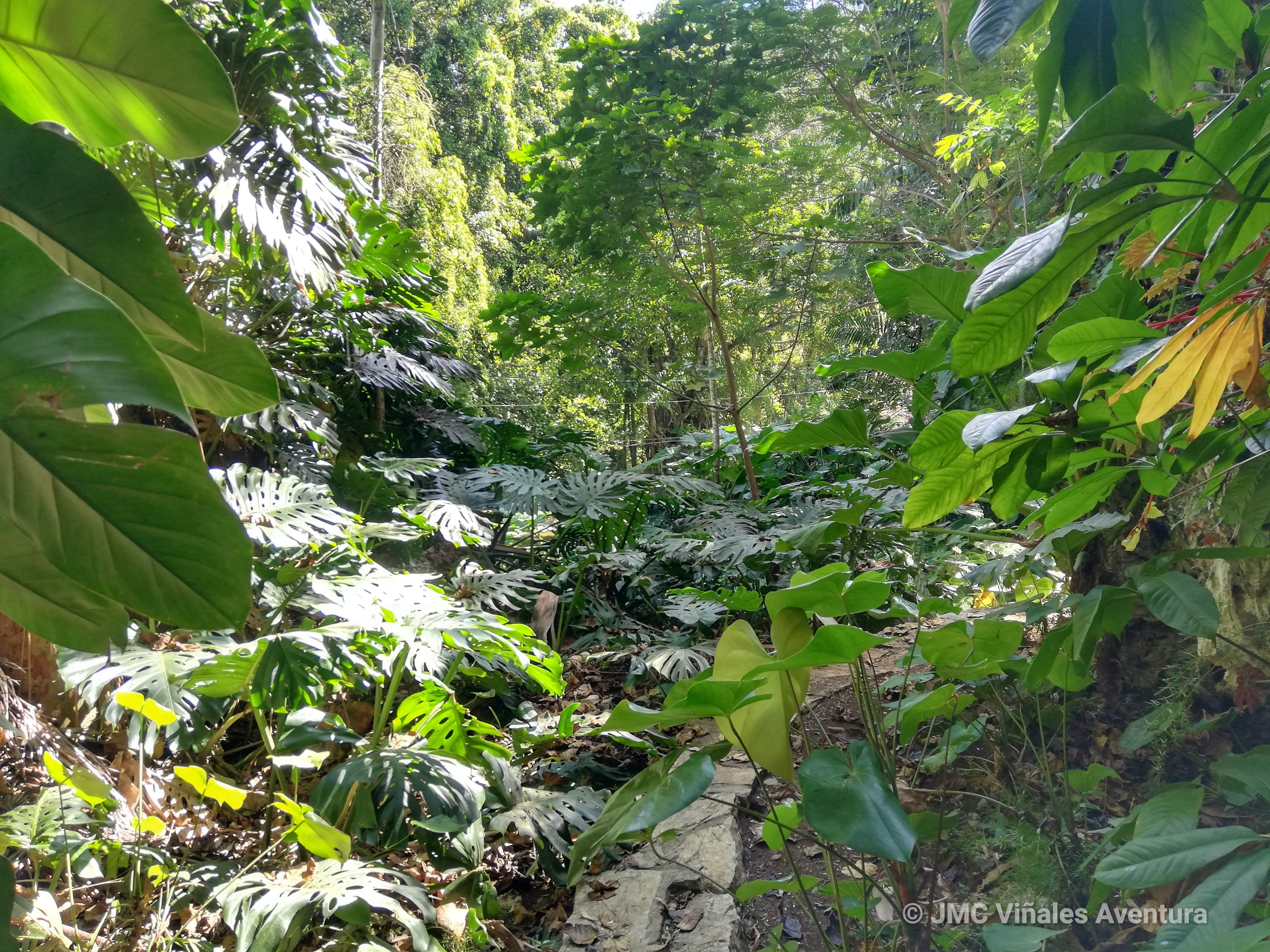Soroa 22 – JMC-Vinales-aventura