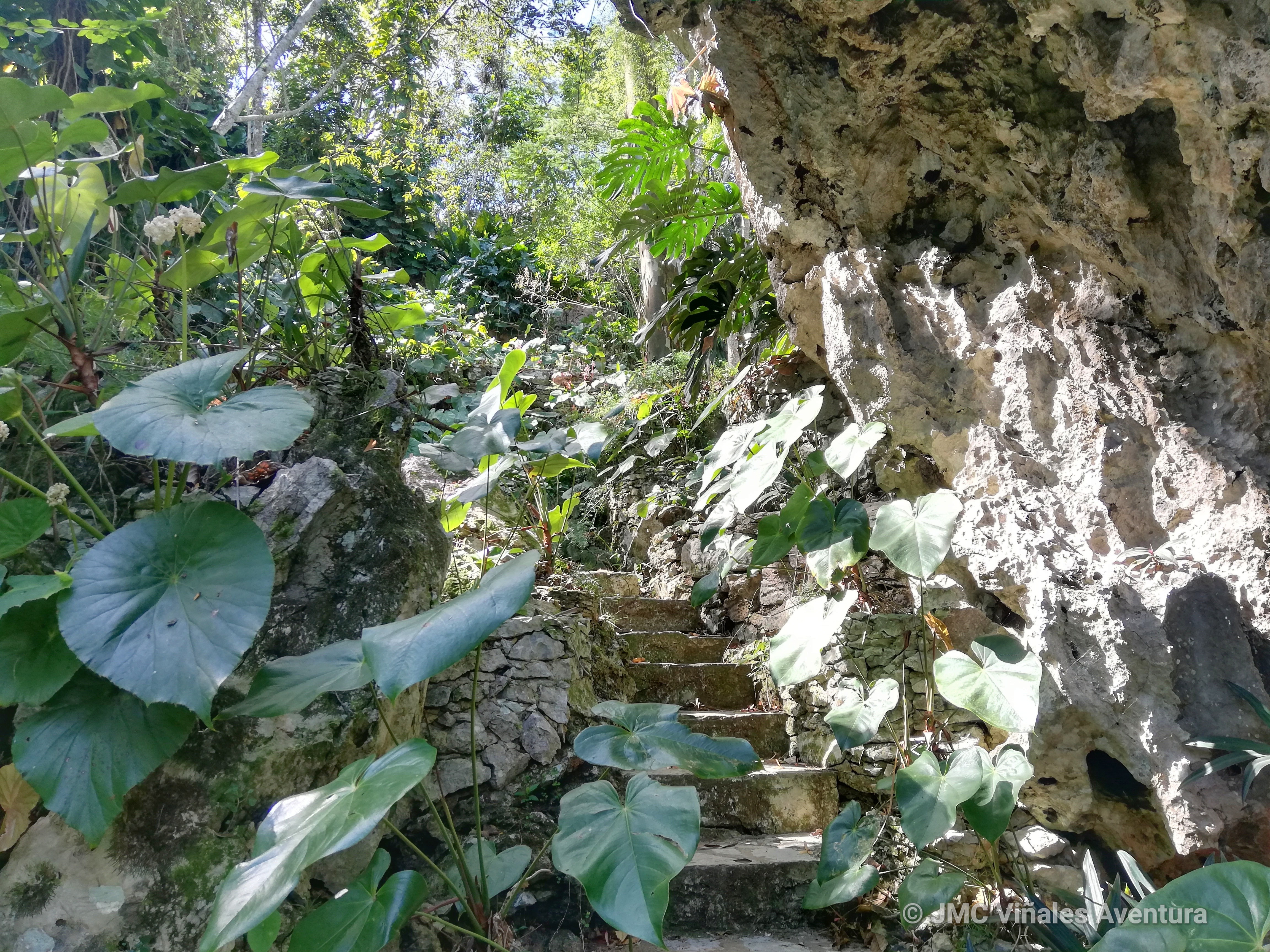 Soroa 21 – JMC-Vinales-aventura