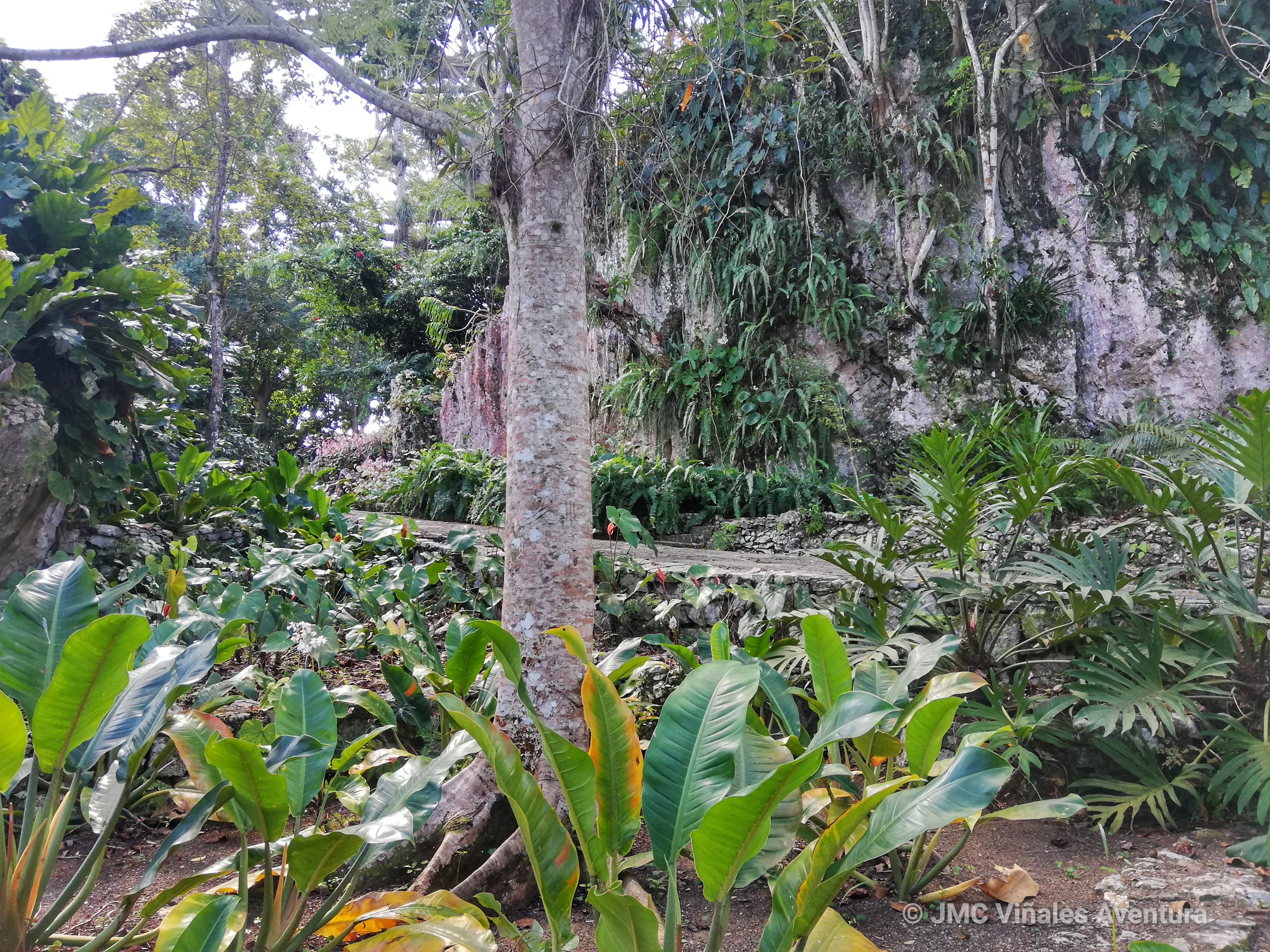 Soroa 19 – JMC-Vinales-aventura