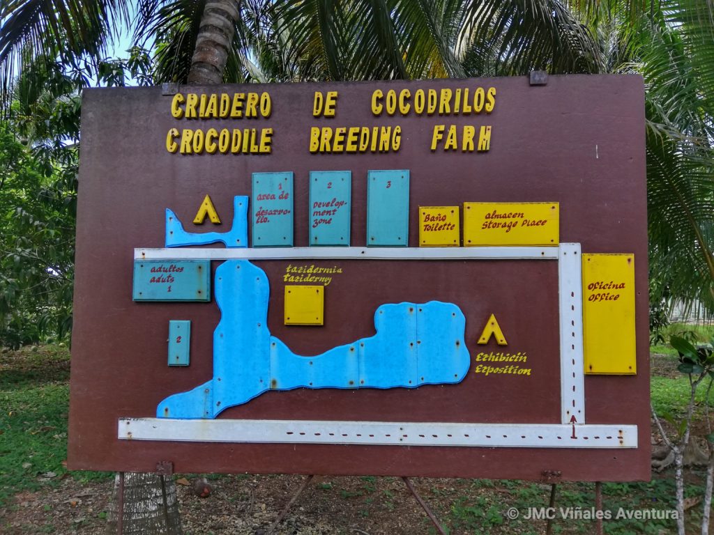 Playa Larga 25 - JMC-Vinales-aventura