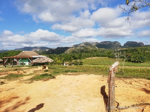 Vallée Silencio 2