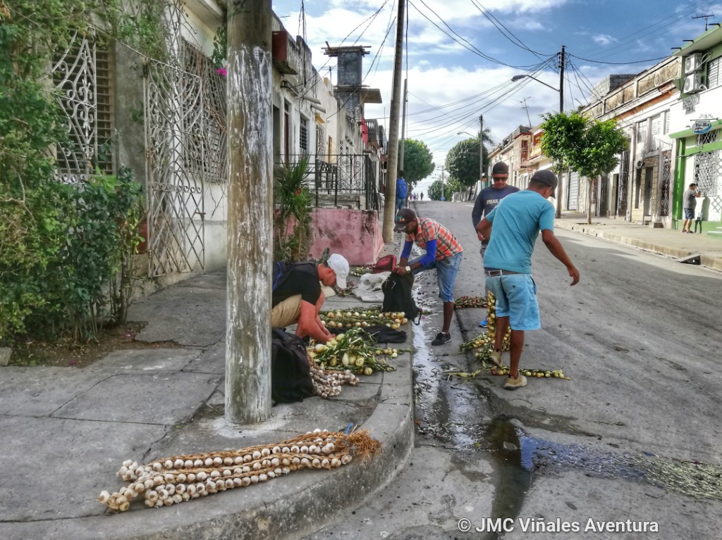 Cienfuegos 19 - JMC-Vinales-aventura