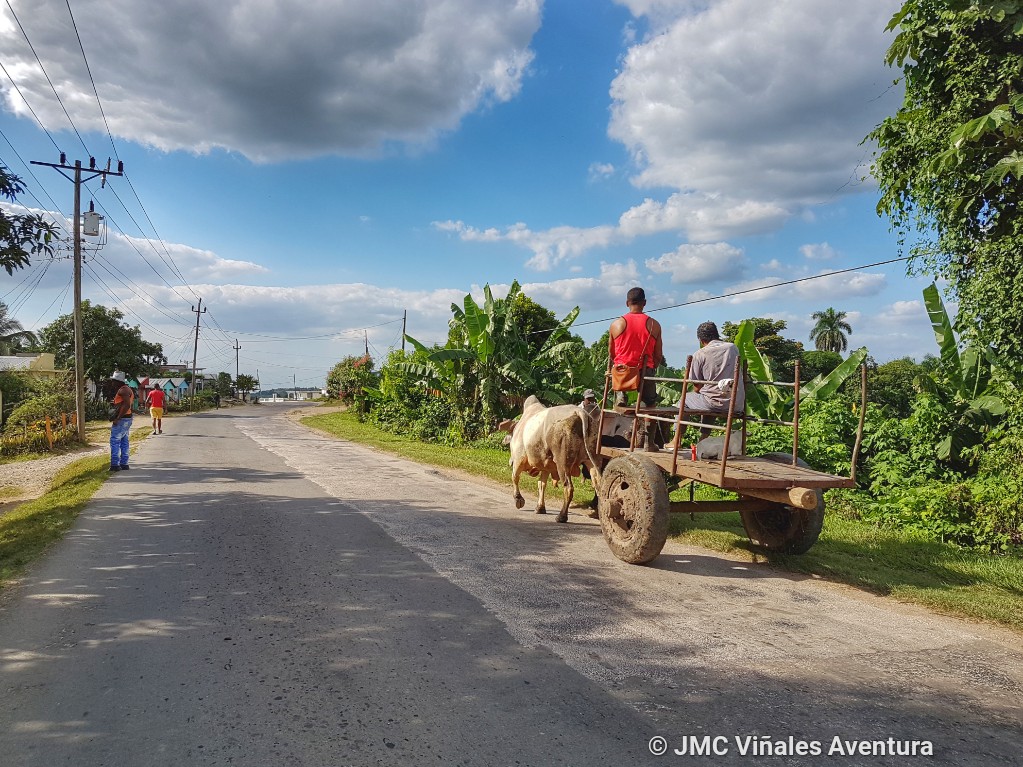 Guantanamo 18 - JMC-Vinales-aventura
