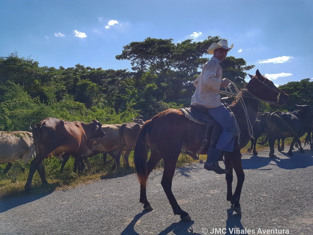 Santa Lucia 9- JMC-Vinales-aventura