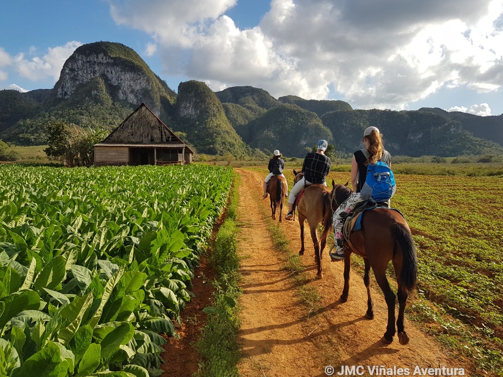 JMC-Vinales-aventura-Excursion-cheval-Havane-2