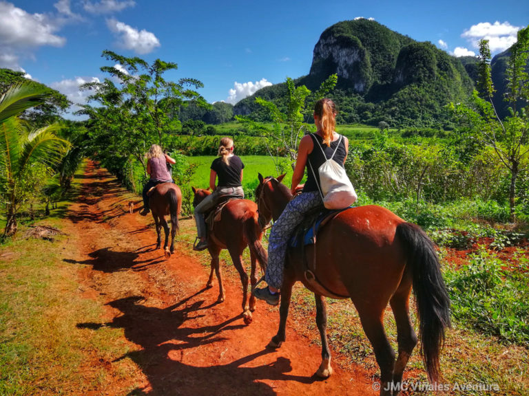 JMC Viñales aventura - Excursion-à-cheval-5H