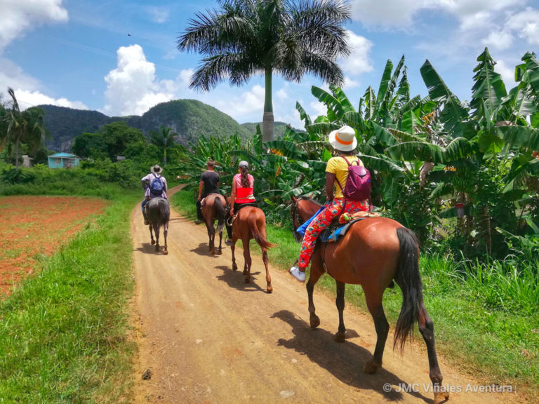 JMC Viñales aventura - Excursion-à-cheval-sur-mesure