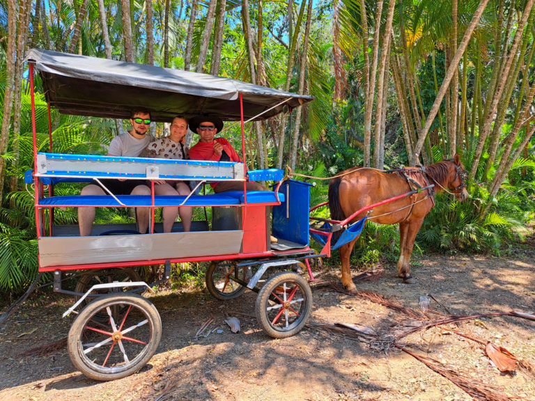 JMC Viñales aventura - Excursion-en-calèche-5H